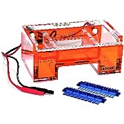 Owl EasyCast B1微凝胶电泳系统