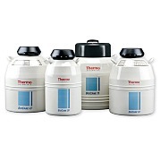 Thermo Fisher Scientific公司生产的四种容量的彩色编码生物甘蔗低温储存罐