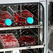 ST系列二氧化碳孵化器可调货架的优点