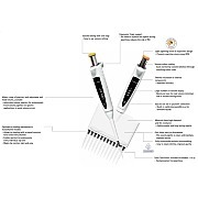 脯氨酸加机械移液管功能