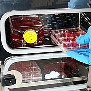 分裂内门6小隔间窗户