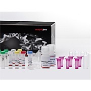 inuspeed RNA Isolation kit by Analytik Jena