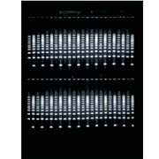 猫头鹰Easycast B2水平迷你凝胶电泳系统由Thermo Fisher Scientific