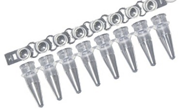 带子;PCR，8个管，圆顶帽，MTC生物