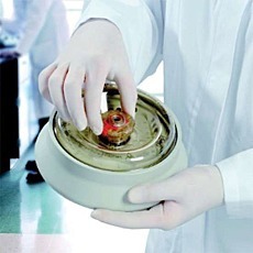 Thermo Scientific贺利氏ClickSeal透明生物容器盖