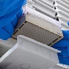 赛默费雪科学冷冻架