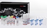 Innuspeed DNA隔离套件由Analytik Jena