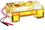 Thermo Fisher Scientific公司的Owl EasyCast B2迷你凝胶水平电泳