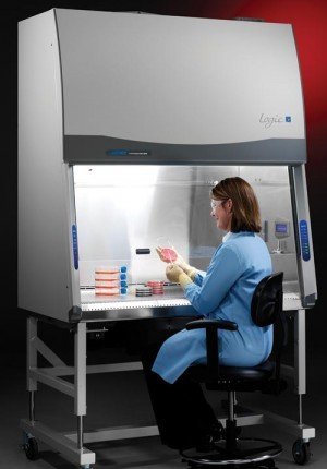 Making Sense of Biological Safety Levels