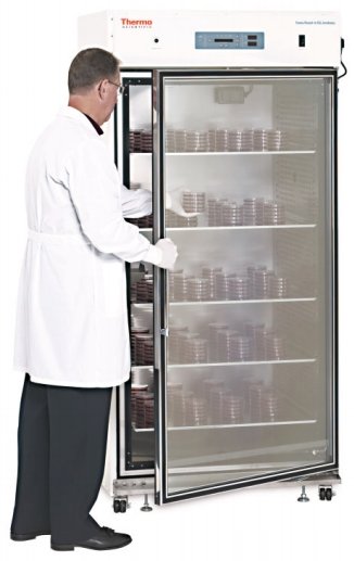 Consider CO2 When Selecting a Lab Incubator