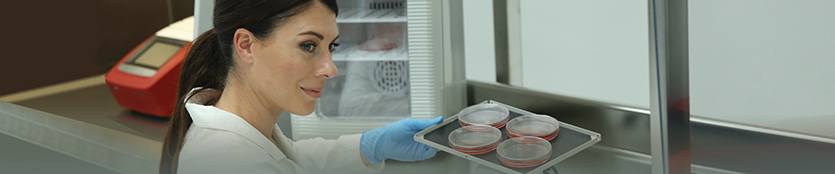 实验室混音和摇滚特色对比图