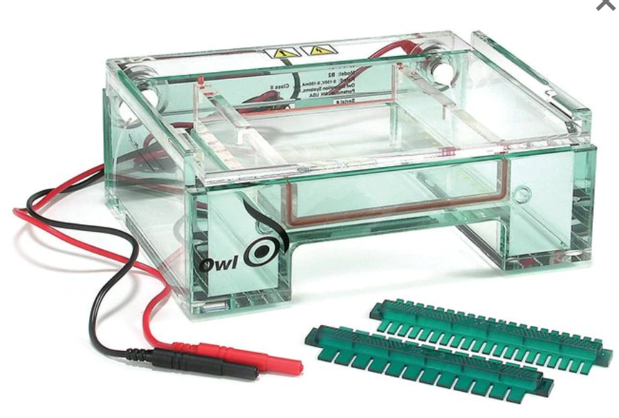 凝胶电泳特性比较